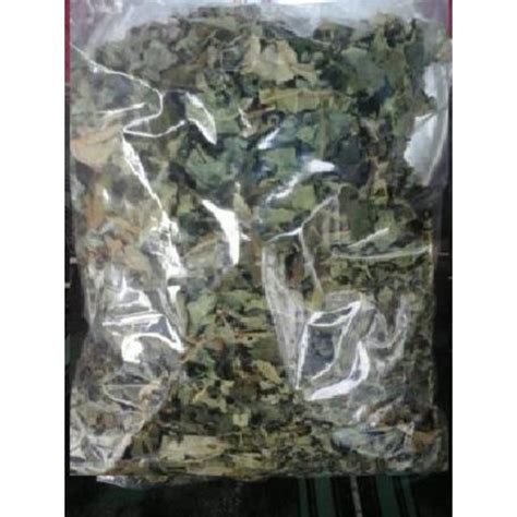 Jual Jual Daun Pepaya Kering Frest 250Gram | Shopee Indonesia