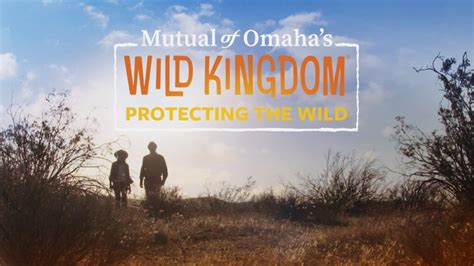 ‘Wild Kingdom’ returns to TV to inspire the next generation of wildlife enthusiasts | PBS News