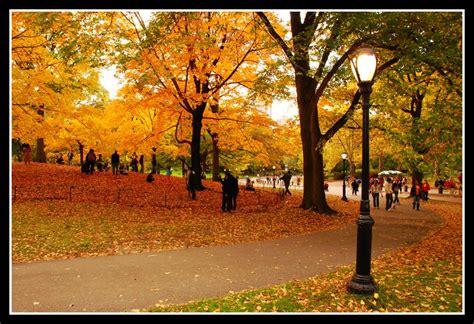 Central Park Fall Wallpaper - WallpaperSafari