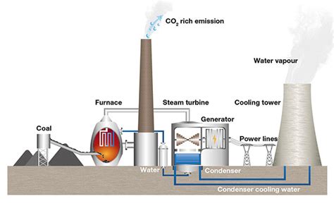 How is coal formed? | Curiosity Aroused