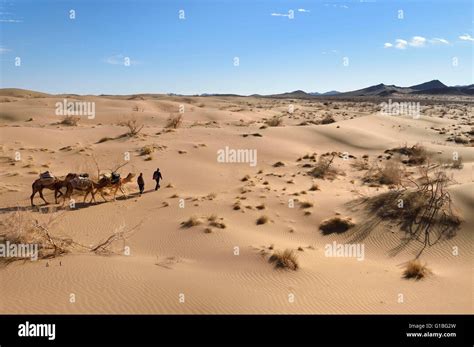 Iran, Isfahan province, Dasht-e Kavir desert, Mesr in Khur and Biabanak County, camel train in ...