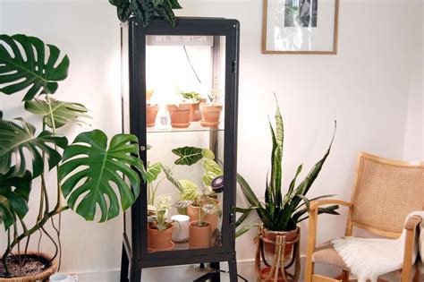 How to Make an IKEA Greenhouse Cabinet