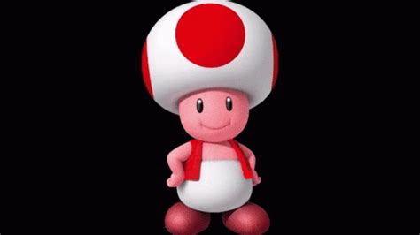 Toad Super Mario GIF - Toad SuperMario SuperMarioToad - Discover & Share GIFs