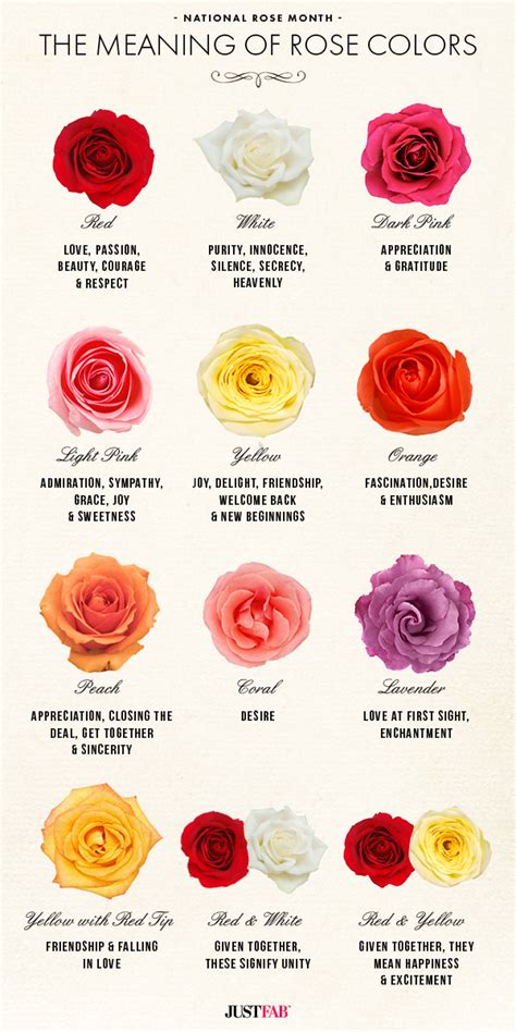 National Rose Month: The Meaning of Rose Colors