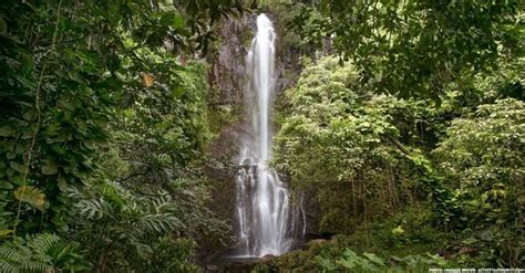 Road to Hana Tours | Book Trips to Waterfalls, Black Sand Beach & More!