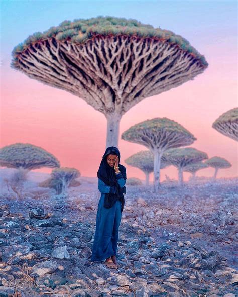 The Enchanting Socotra Island