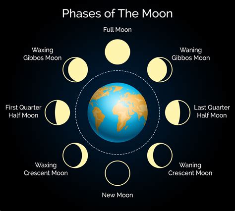 The Phases Of The Moon Diagram