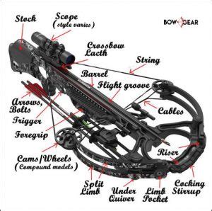 Different Types of Crossbows | Ultimate Guide - The Bow Gear