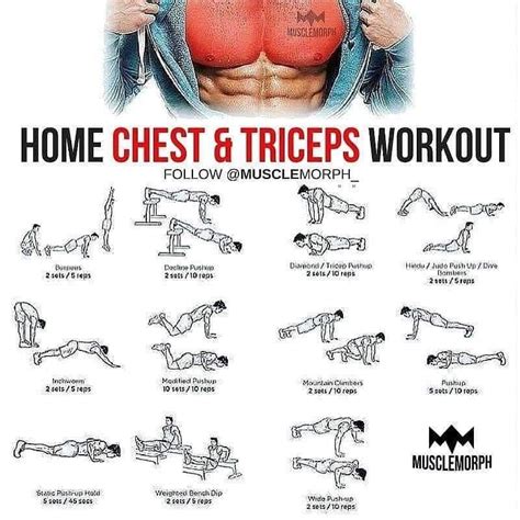 Chest & Triceps | Triceps workout, Chest and tricep workout, Bicep and tricep workout