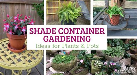 Shade Container Gardening: Ideas for Plants & Pots