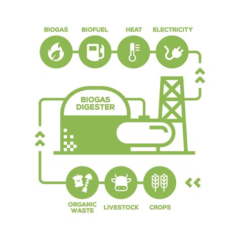 Simple Biogas Plant Diagram. Biogas production stages, renewable energy and green environment ...