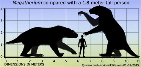 PANGEA: Megatherium Americanum (Giant Ground Sloth)