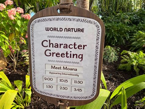 PHOTOS, VIDEO: Moana Meet and Greet Soft Opens Outside Journey of Water ...