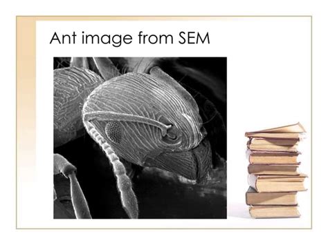 Characterization techniques | PPT