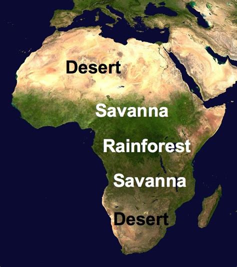 African Savanna Biome Map - Pets Lovers