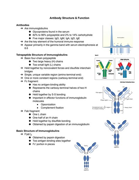 SOLUTION: Antibody structure function - Studypool