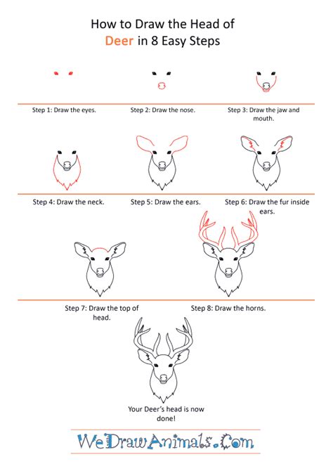 How to Draw a Deer Face