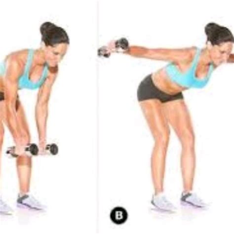 Dumbbell Rear Delt Fly by Atılgan A. - Exercise How-to - Skimble