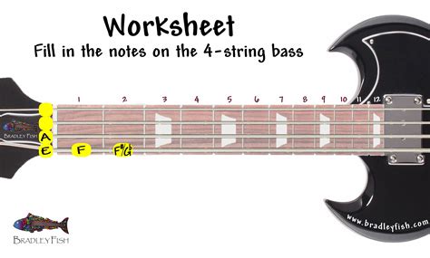 The Notes on the 4-string BASS + Worksheet! - Bradley Fish