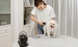 furMe Pet Grooming Vacuum 5-in-1 Vacuum Grooming Pin Brush, De-Shedding Brush, and Electric ...