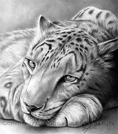 40 Realistic Animal Pencil Drawings | Pencil drawings of animals ...