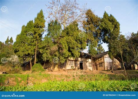 Traditional Chinese House in the Countryside Stock Photo - Image of typical, traditional: 66786344