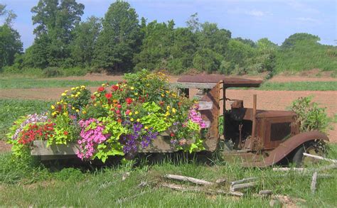 Jalopy Garden Photograph by Marjorie Tietjen - Fine Art America