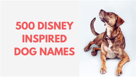 500 Disney Dog Names - Puppy Leaks