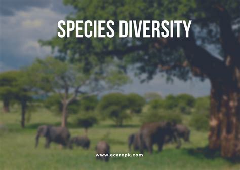 What is Biodiversity Species Diversity and Ecosystem Diversity Explanations