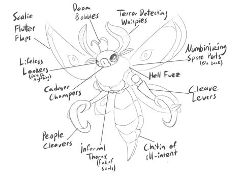 Anatomy Of A Moth - Anatomical Charts & Posters