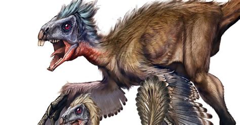 Feathered Dinosaurs Molted Like Birds | WIRED