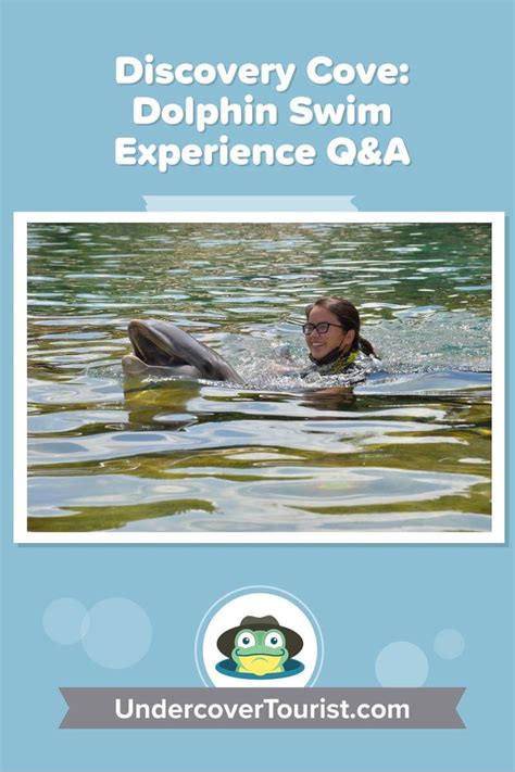 Tad's Rad Discovery Cove Dolphin Swim Experience & FAQ