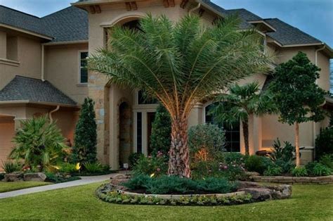 Palm Tree Landscaping Ideas: Indoor and outdoor Palm Paradise Jay Scotts Collection