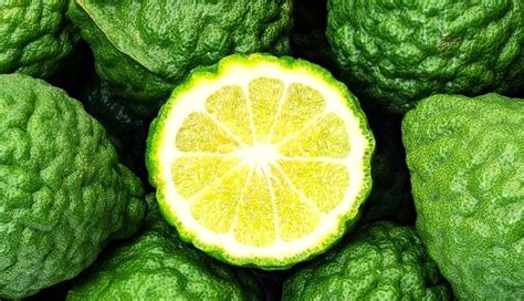 Bergamot Fruit: All You Need To Know - lifeberrys.com