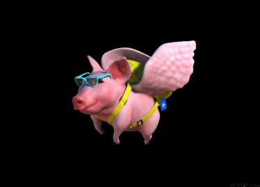 Flying Pigs GIFs - 120 Animated GIF Pictures