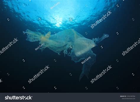 Plastic Bag Pollution Underwater Ocean Stock Photo 1253183704 | Shutterstock