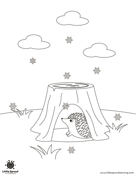 Best Hibernating Animal Coloring Pages - Little Sprout Art