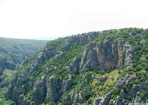 Blât,al jnoub, Lebanon | Natural landmarks, Landmarks, Nature