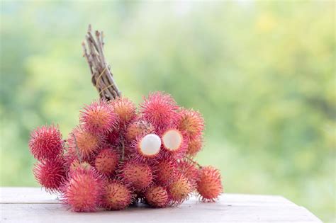 What's The Difference Between Rambutan and Lychee? | Vibrant Happy Healthy