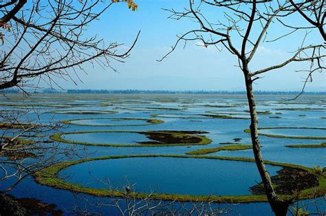 Loktak Lake, Manipur — Google Arts & Culture