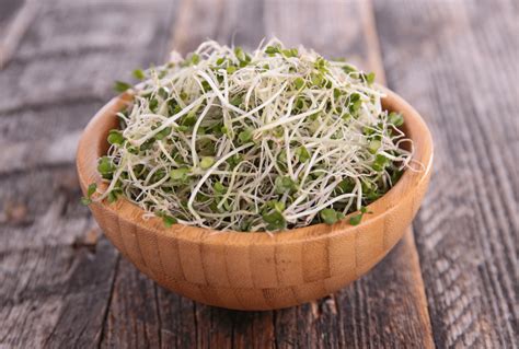 Health Benefits of Broccoli Sprouts - Facts to the Point - No Hurt No Harm