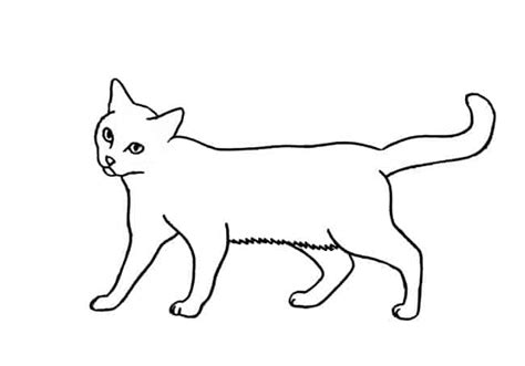 33+ Cat Walking Drawing Easy - Aleya Wallpaper