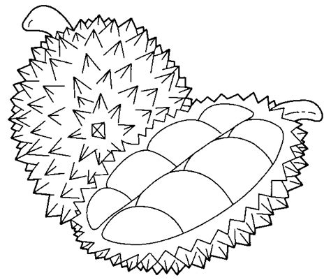 Durian Fruit Coloring Page - Free Printable Coloring Pages