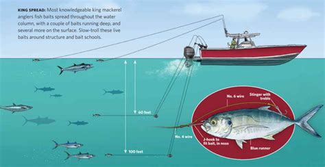 King Mackerel Fishing | Fish Destin | King Mackerel Facts | Charter Fishing Destin