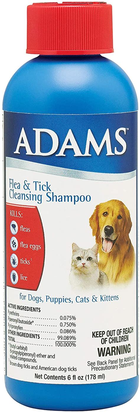 Best Flea Shampoo For Kittens - Top Cat Breeds