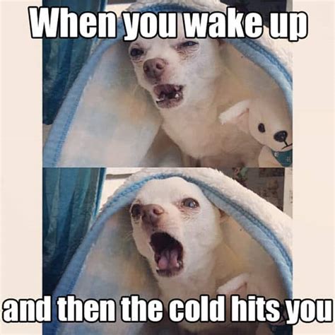 20 Cold Weather Memes That Perfectly Sum Up All The Winter Feels - SayingImages.com