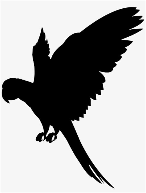 Parrot Silhouette Svg