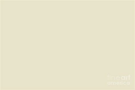 Valspar America Crafted White Off White Cream 3007-6C Solid Color ...