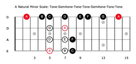 Bass Scales For Beginners - A Complete Guide