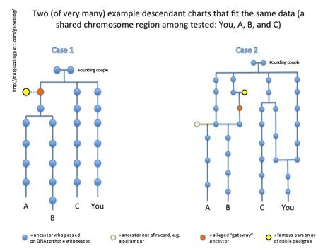 Genealogy and Autosomal DNA Matches: Common Errors in "Proving" An Ancestor, and the Allure of ...